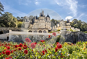 View no the beautiful medieval castle on sunny day with trees and flowers on the foreground, France.