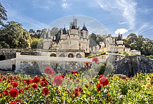 View no the beautiful medieval castle on sunny day with trees and flowers on the foreground, France. photo