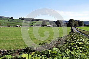 View of the Norber Erratics, from Austwick farmland, Lancaster, England.