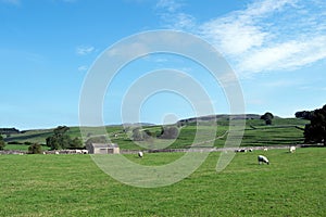 View of the Norber Erratics, from Austwick farmland 3, Lancaster, England. photo