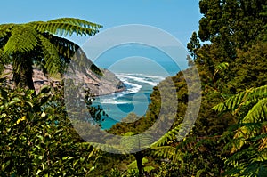 A view to Manukau Heads from Waitakere Regional Park photo