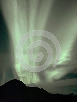 The view of Northern lights in Lofoten