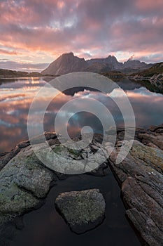 View of a norwegian fjord in summer on Senja island in northern Norway, beautiful landscape Tromso country Colorful sunset