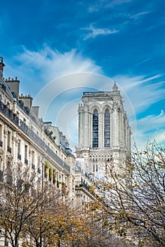 View of the Notre Dame cathedral, Paris, France