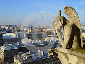 View from Notre Dame tower, Paris