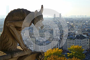 View from Notre Dame tower, Paris