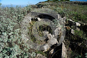 View of nuragic sanctuary ruins of Monte S. Antonio