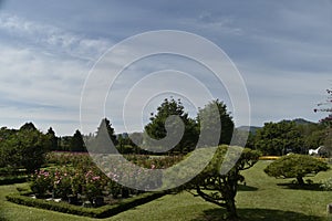 View of the Nusantara flower garden, Cianjur, West Java, Indonesia photo