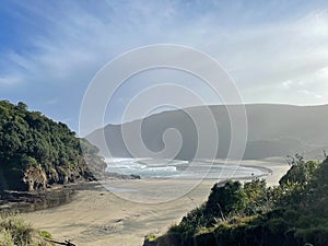 The view of O\'Neill Bay in a sunny day, Te Henga walkway, New Zealand