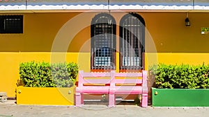 View oBright pink bench with clay flower pots with palm plants in front of a bright yellow wall. Spanish colonial architecture and