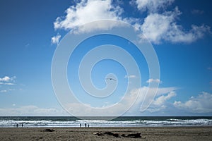 The view in Ocean Beach,Ocean Beach, San Francisco photo