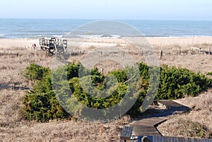 View of the Ocean and boardwalk at Bald Head Island, SC.