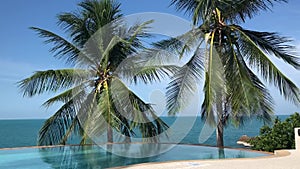 View of the ocean and the luxurious swimming pool. Palm leaves sway in the wind