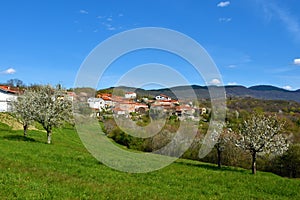 View of Ocizla village in Primorska, Slovenia photo