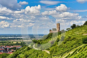 View on Odenwald fores hill with German castle ruin and restaurant called Strahlenburg in Schriesheim