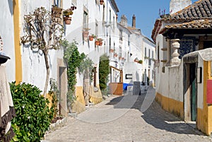 View ofmedievaltown Obidos, Portugal.