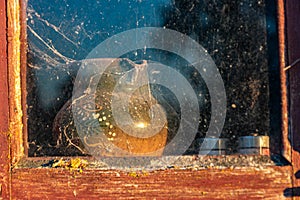 view of an old barn in sunset light, old windows in an ancient building, summer