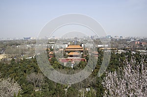 View of old Beijing, China, spring
