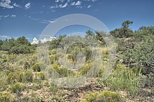 View of an old building foundation from Pueblo Indians