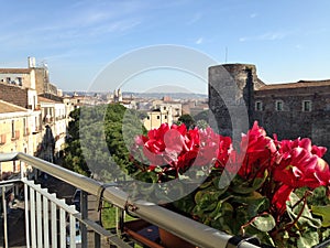 A View of the old Castle