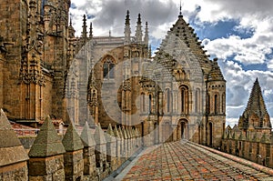 View of old cathedral or Saint Mary cathedral in Salamanca, Spain.