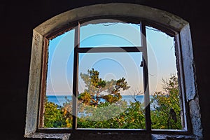 View through an old cracked window to the sea and trees.