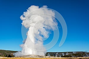 View of Old Faithful Eruption