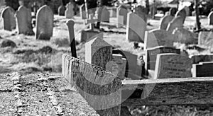 View of old gravestones, seen in monochrome, in an equally old cemetery.