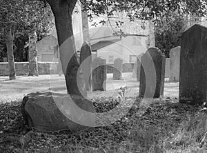 View of old gravestones, seen in monochrome, in an equally old cemetery.