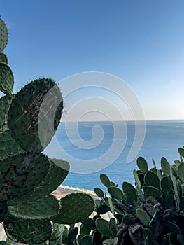 A view of Old Nice from the top of the castle hill. A journey along the CÃÂ´te d'Azur
