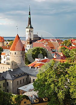 View of old Tallinn in summer