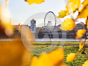 View of the old town of Dusseldorf from the banks of the Rhine in an autumn atmosphere. Ferris wheel framed with yellow leaves