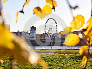 View of the old town of Dusseldorf from the banks of the Rhine in an autumn atmosphere. Ferris wheel framed with yellow leaves
