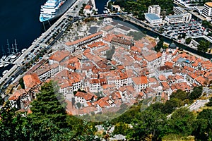 View of the old town of Kotor