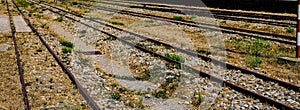 view of old train station tracks covered with grass. Tempio Pausania, Sardinia