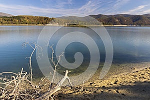 View with an old tree of the Ticha dam