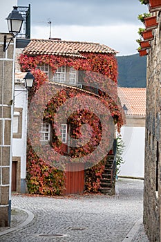 View of old village Provesende in heart of Douro river valley in autumn, wine making industry in Portugal