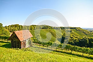 View on an old wooden hut in the vineyard, Southern Styria Austria