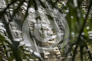 View of the Olmec style mask on the side of the Lamanai temple in Belize, seen through rain forest photo