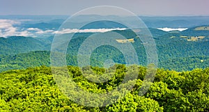 View from Olson Observation Tower, Monongahela National Forest,