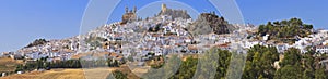 View of Olvera, one of the white villages of the province of Cadiz, Andalusia, Spain.