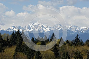 View of the Olympic Mountain Range and Mt Constance from the Lofall area