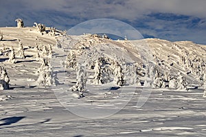 View from Ondrejska Hola in Low Tatras mountains with frozen spruce trees