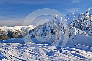 View from Ondrejska Hola in Low Tatras mountains with frozen spruce trees