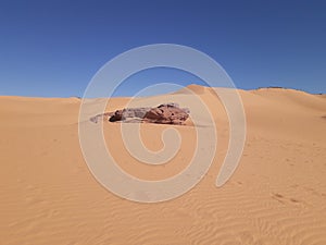 view from one of the desert algeria areas and tourist areas