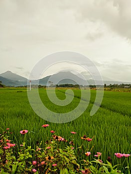 a view in one of the rural areas with green farmland and mountains