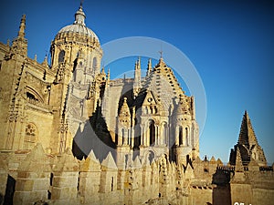 View of one of the Salamanca cathedral. photo