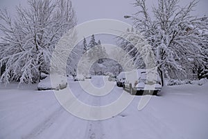 View of one of the streets of Hillsboro after massive snowstorm.