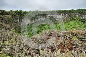 View of one of the twin volcanic craters in the highlands of Santa Cruz