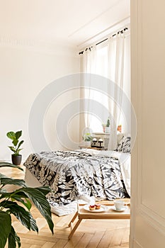View through an open door to an interior of a high ceiling bedroom with a bed, a breakfast table and plants. Real photo. Copy spac